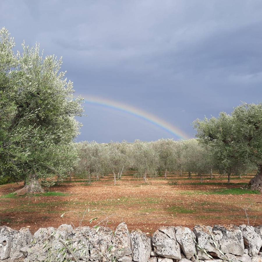 Dependance Lägenhet Polignano a Mare Exteriör bild